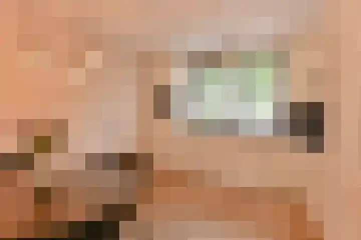 Koolmees 22 Emmen thumbnail 31