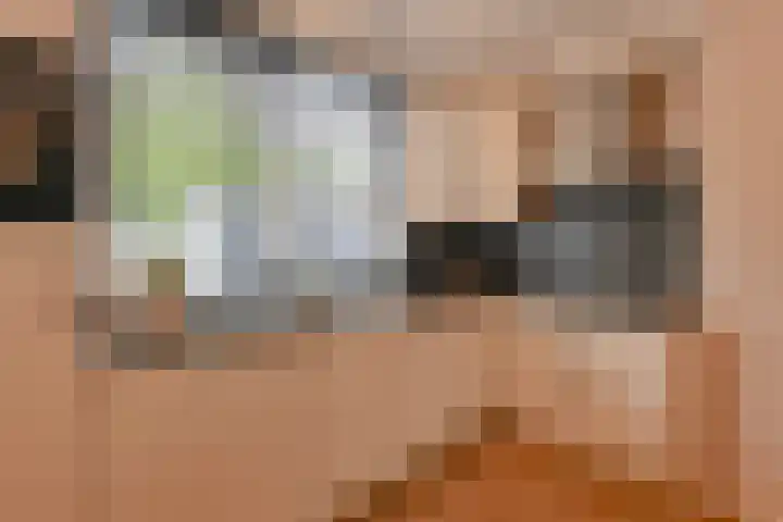 Koolmees 22 Emmen thumbnail 33
