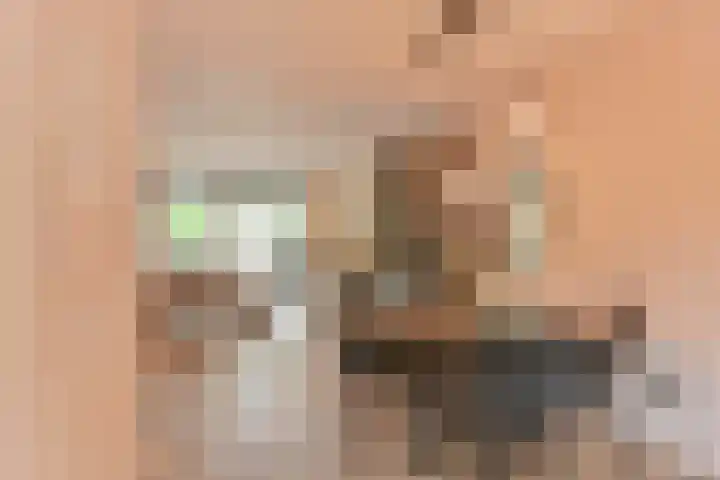 Koolmees 22 Emmen thumbnail 36
