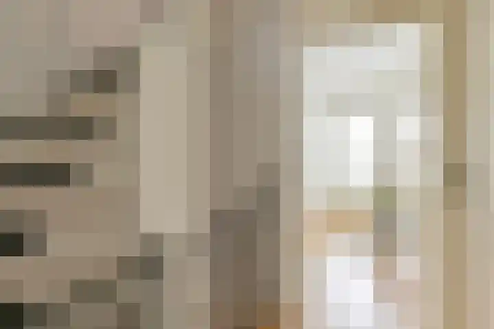 Koolmees 22 Emmen thumbnail 37