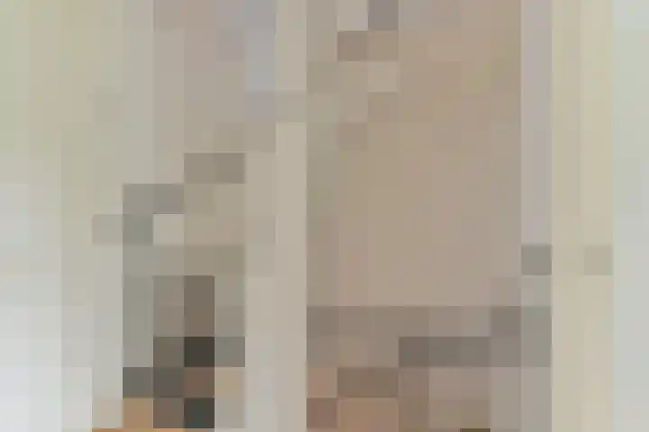 Koolmees 22 Emmen thumbnail 38