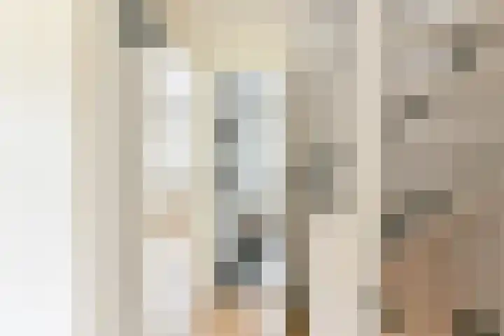 Koolmees 22 Emmen thumbnail 39