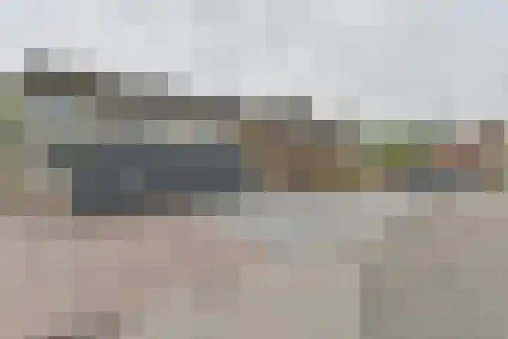 Koolmees 22 Emmen thumbnail 4