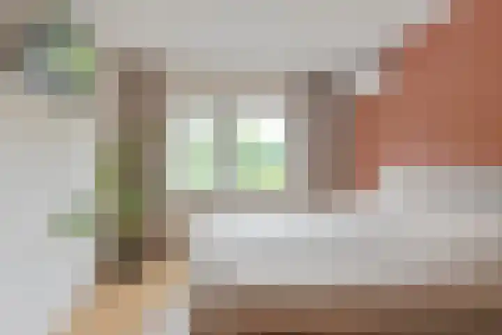 Koolmees 22 Emmen thumbnail 41