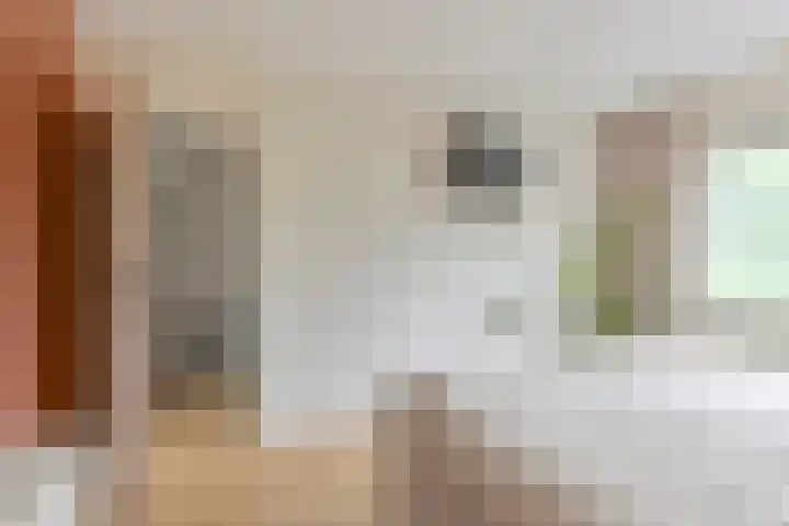 Koolmees 22 Emmen thumbnail 43