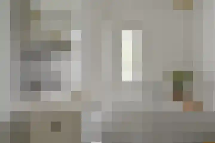 Koolmees 22 Emmen thumbnail 44