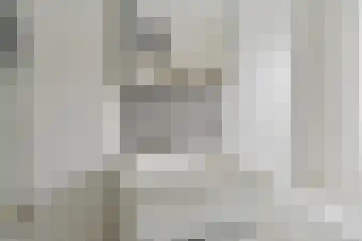 Koolmees 22 Emmen thumbnail 45