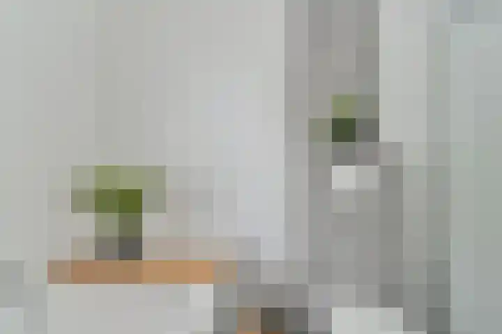 Koolmees 22 Emmen thumbnail 46