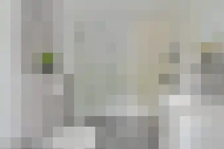 Koolmees 22 Emmen thumbnail 47
