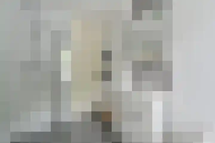 Koolmees 22 Emmen thumbnail 48