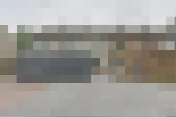 Koolmees 22 Emmen thumbnail 5