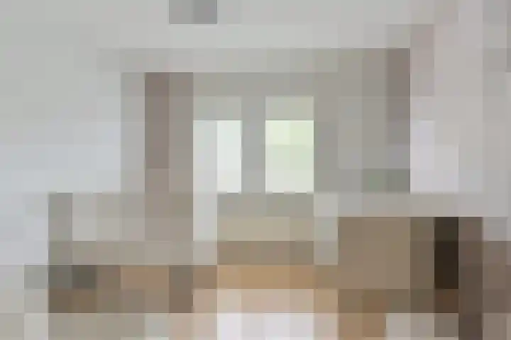 Koolmees 22 Emmen thumbnail 51