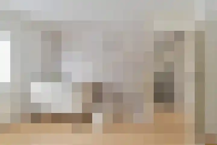 Koolmees 22 Emmen thumbnail 53