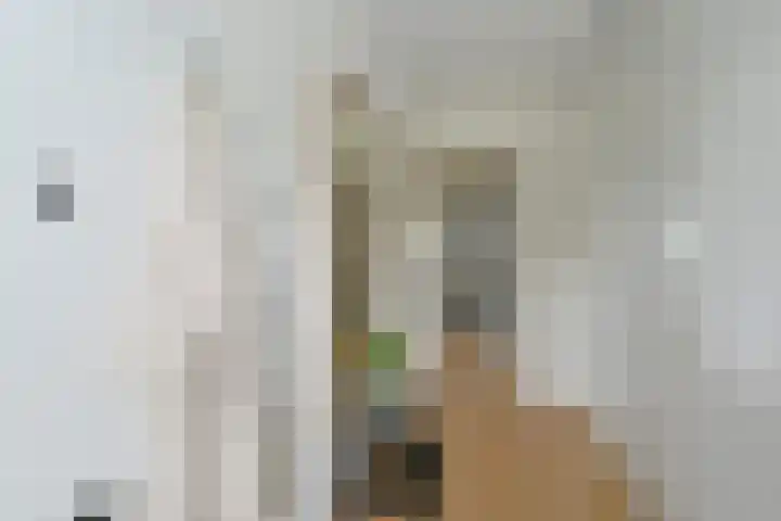 Koolmees 22 Emmen thumbnail 55