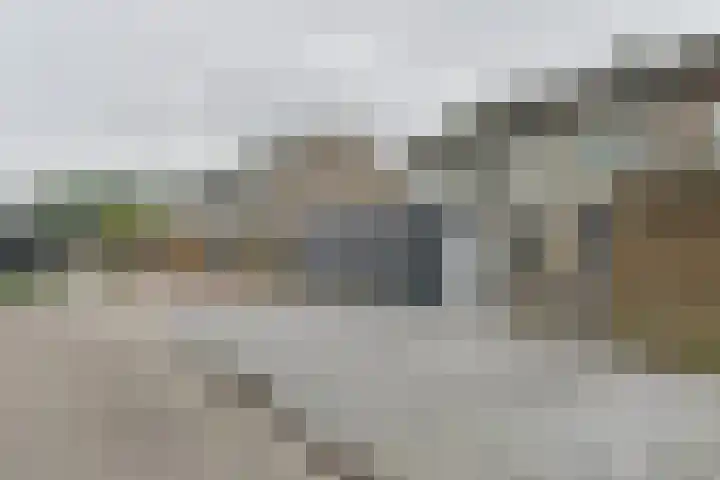 Koolmees 22 Emmen thumbnail 6