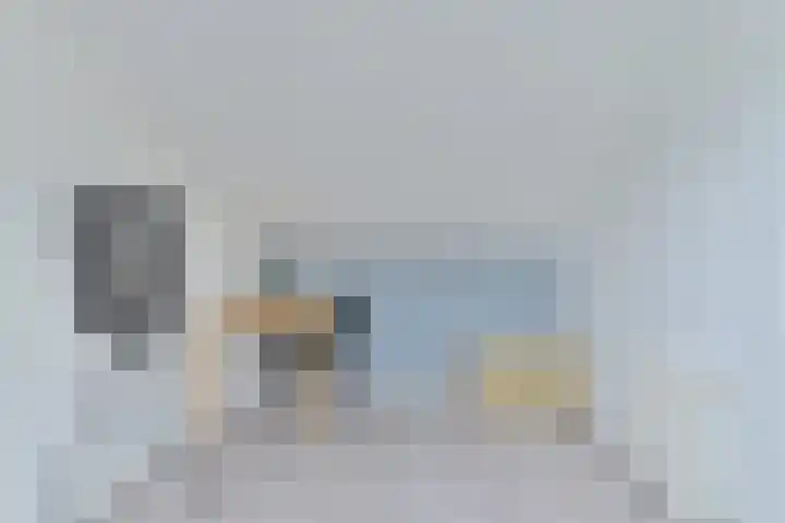 Koolmees 22 Emmen thumbnail 60
