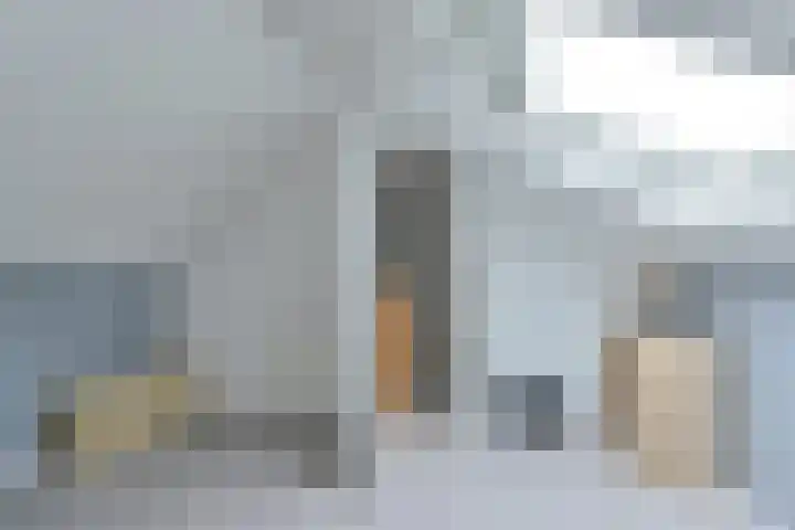 Koolmees 22 Emmen thumbnail 61