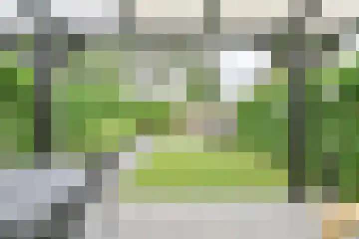 Koolmees 22 Emmen thumbnail 62