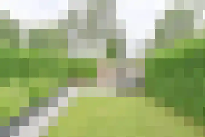 Koolmees 22 Emmen thumbnail 63