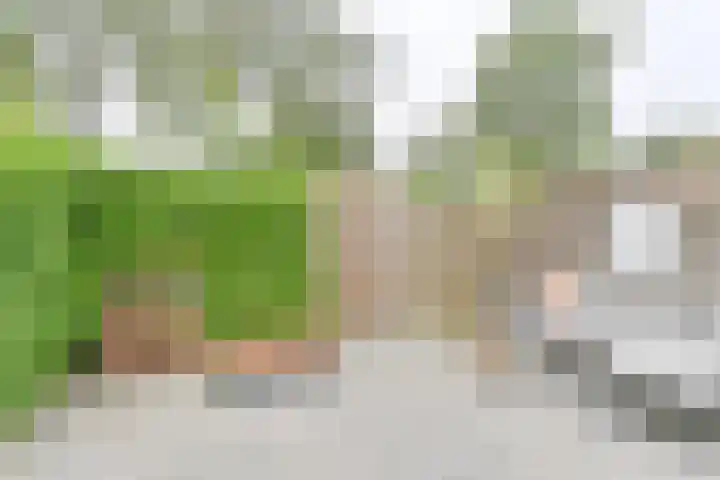 Koolmees 22 Emmen thumbnail 64