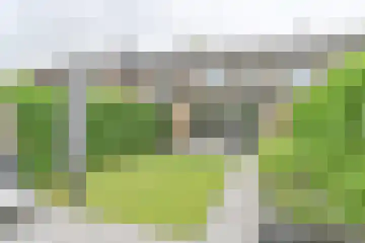 Koolmees 22 Emmen thumbnail 65