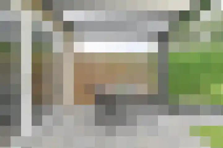 Koolmees 22 Emmen thumbnail 66