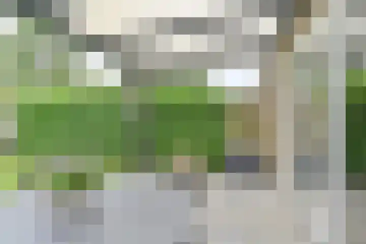 Koolmees 22 Emmen thumbnail 68