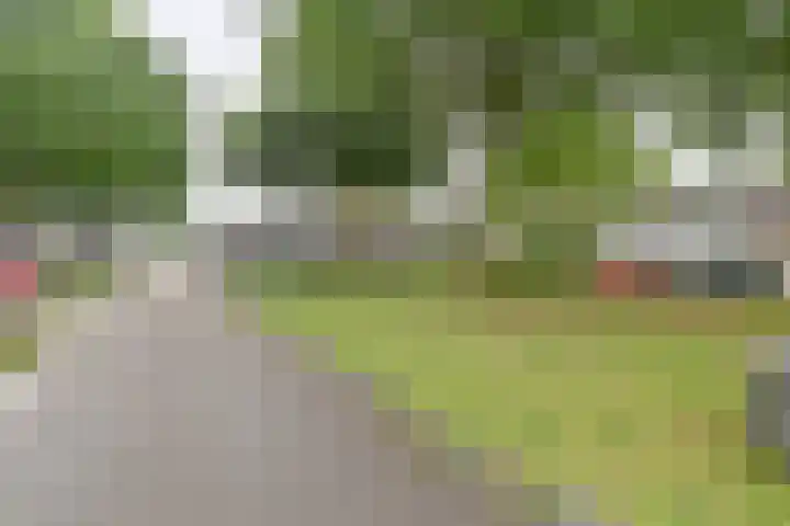 Koolmees 22 Emmen thumbnail 69