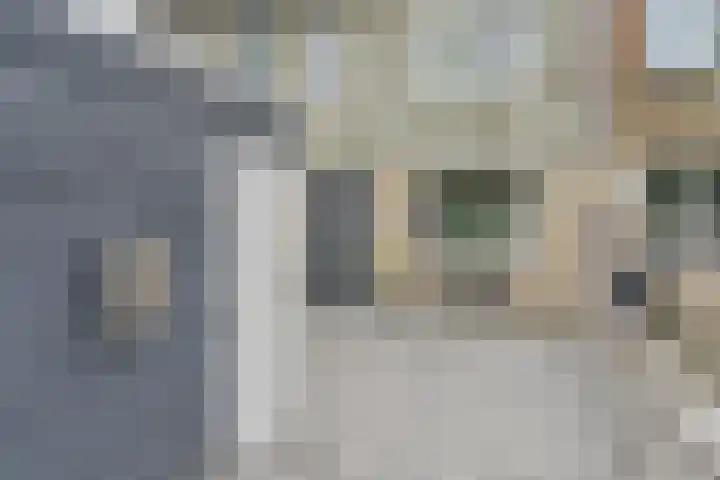 Koolmees 22 Emmen thumbnail 7
