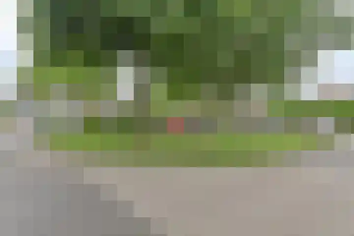 Koolmees 22 Emmen thumbnail 71