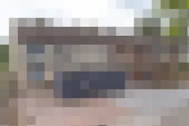 Koolmees 22 Emmen thumbnail 72