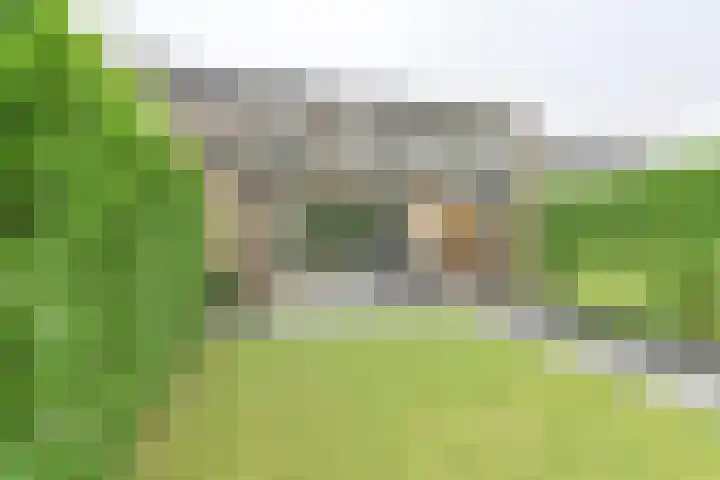 Koolmees 22 Emmen thumbnail 75