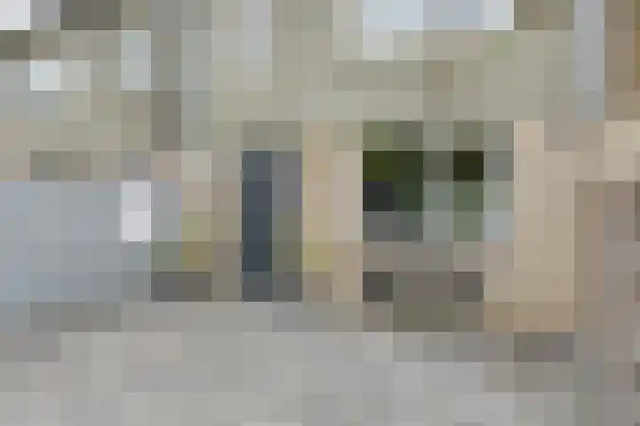 Koolmees 22 Emmen thumbnail 8