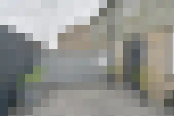 Koolmees 22 Emmen thumbnail 9