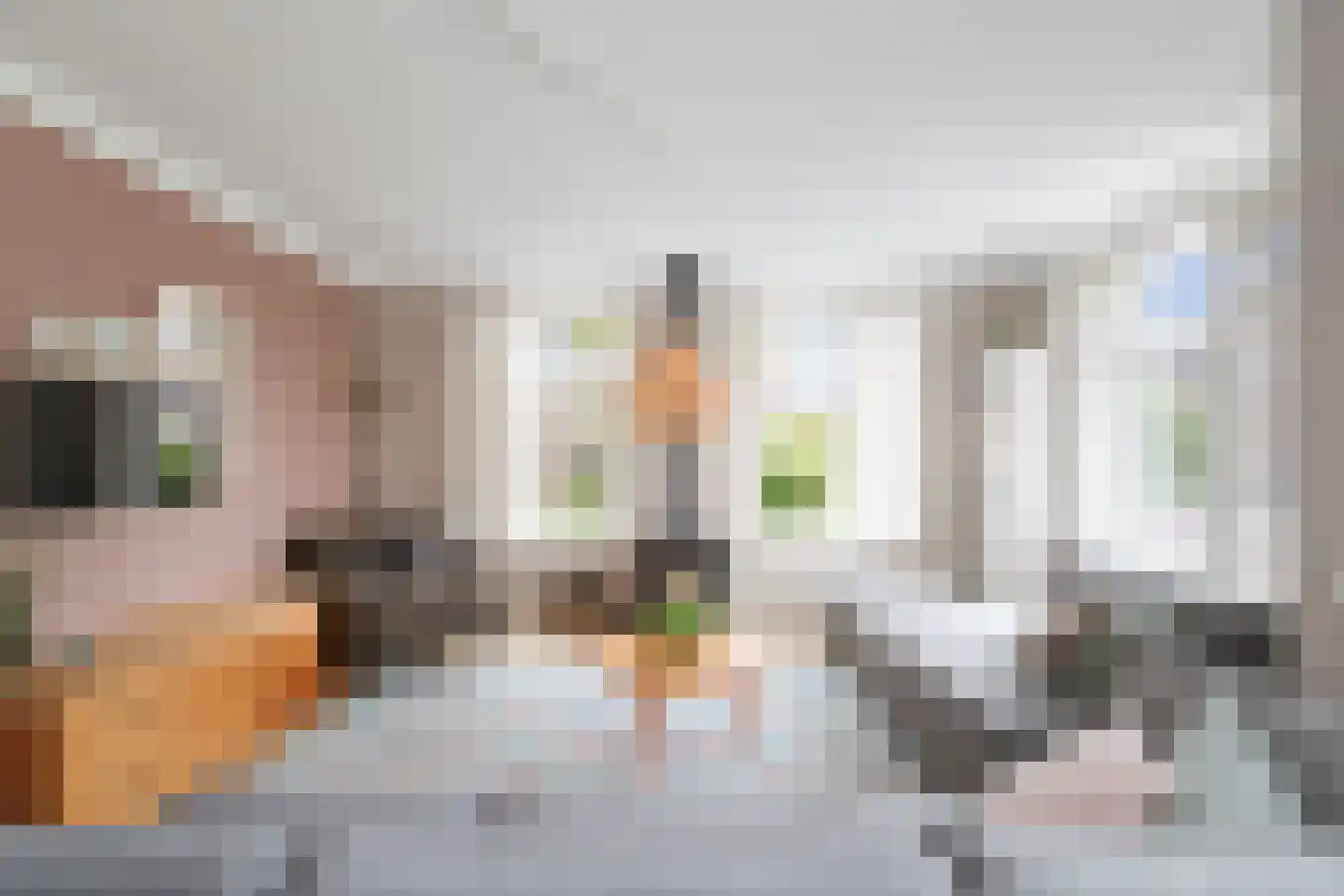 Koolmees 24 Olst thumbnail 10