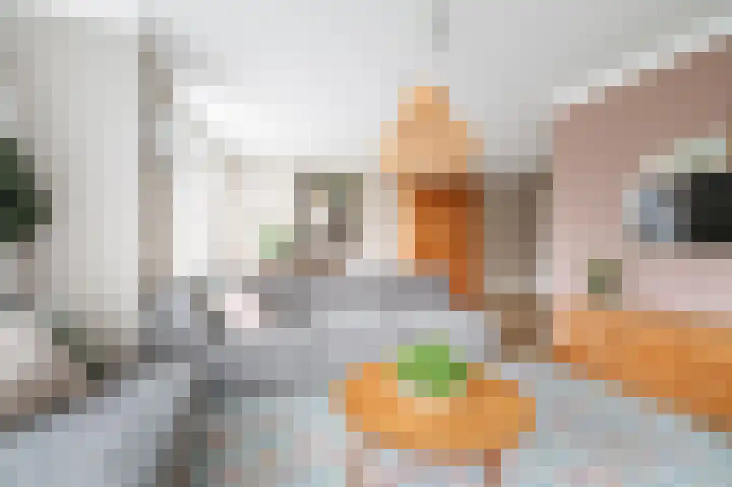 Koolmees 24 Olst thumbnail 11