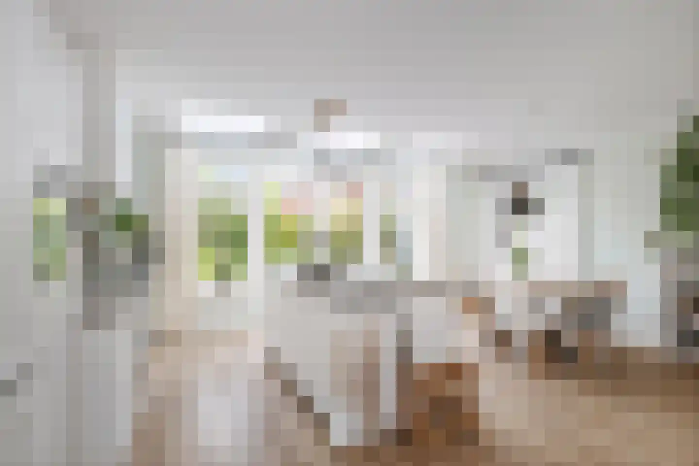 Koolmees 24 Olst thumbnail 12