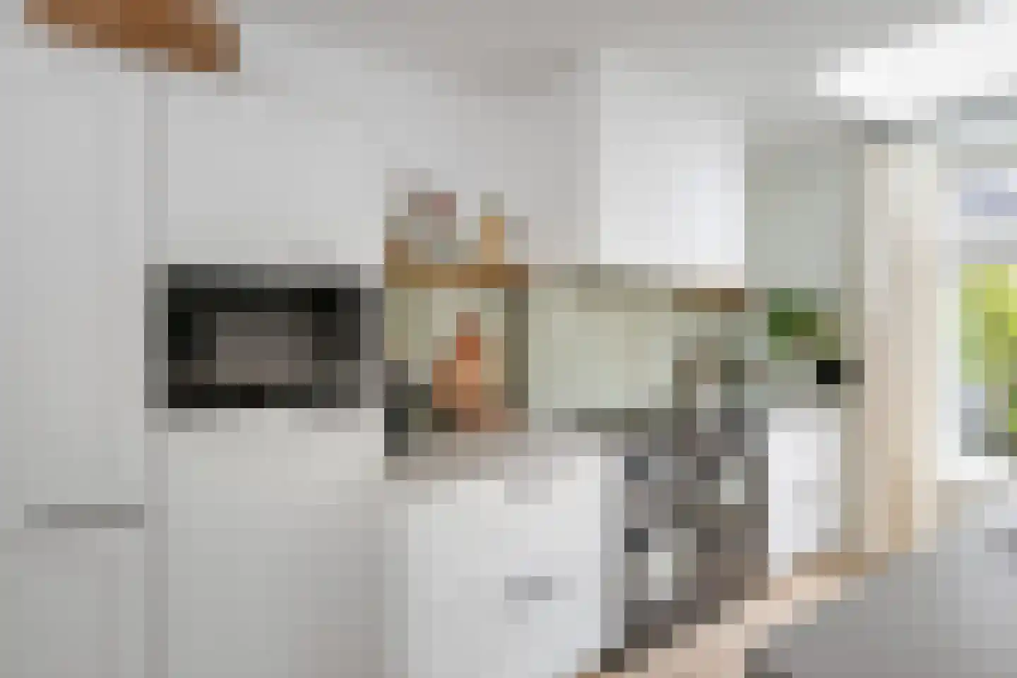Koolmees 24 Olst thumbnail 13