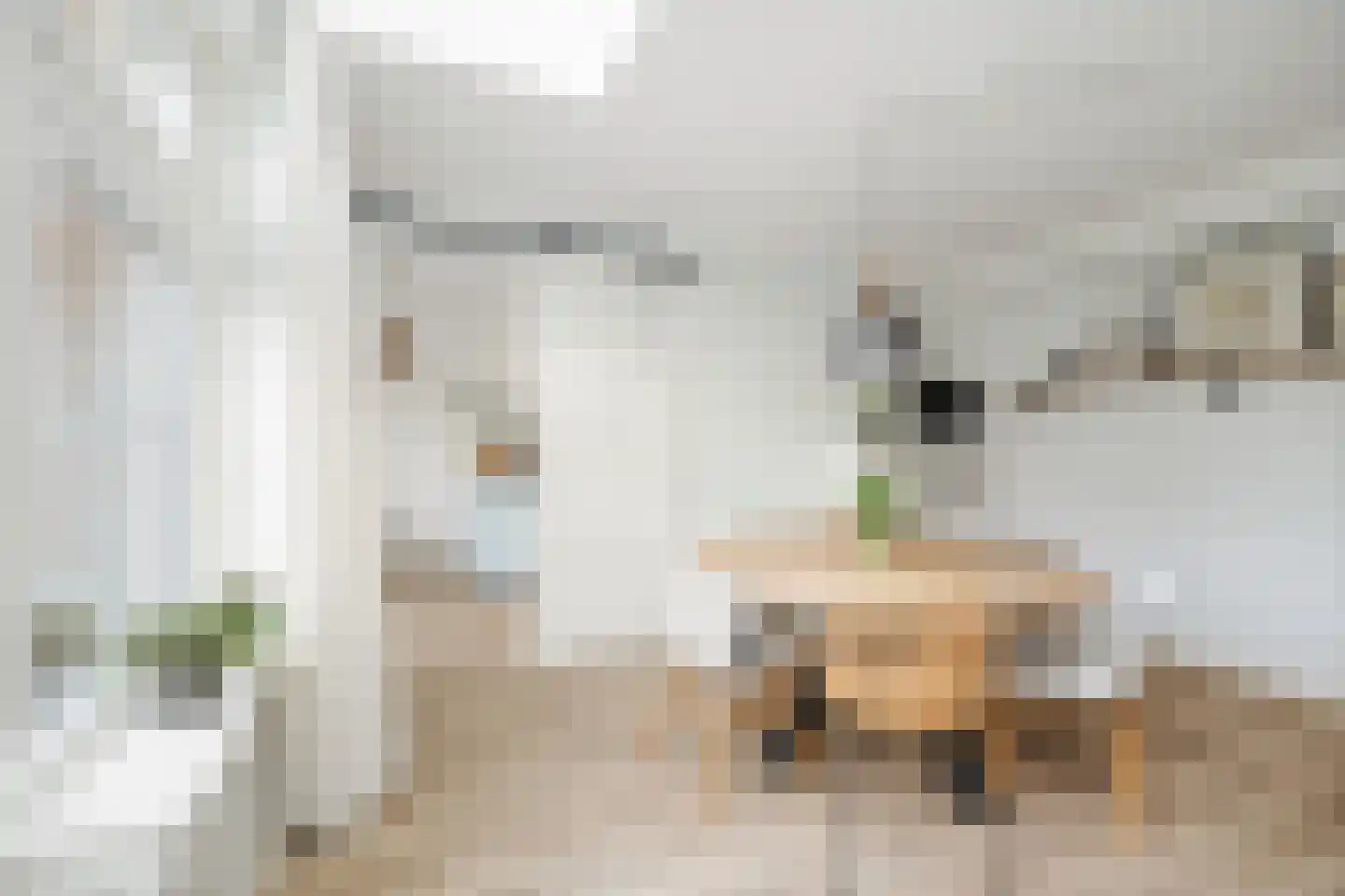 Koolmees 24 Olst thumbnail 14