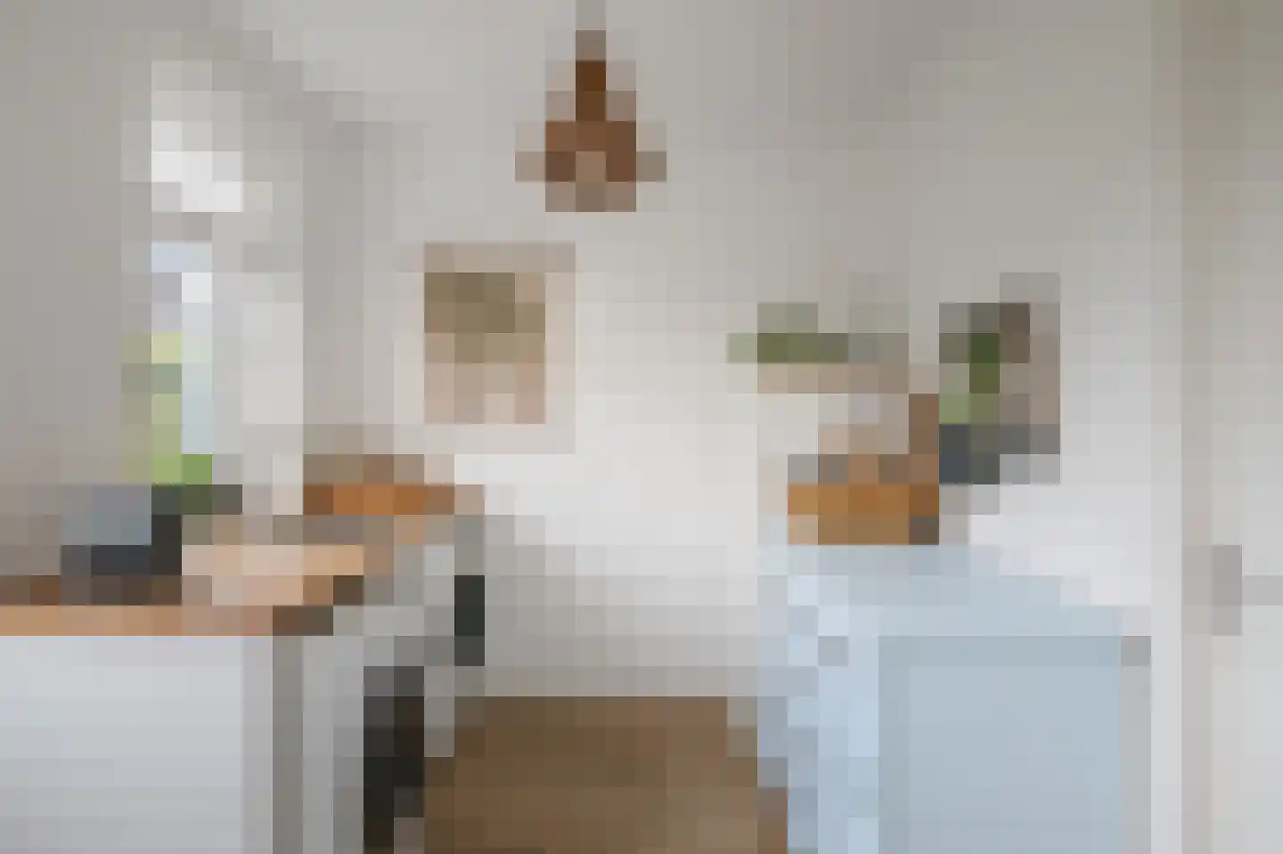 Koolmees 24 Olst thumbnail 15