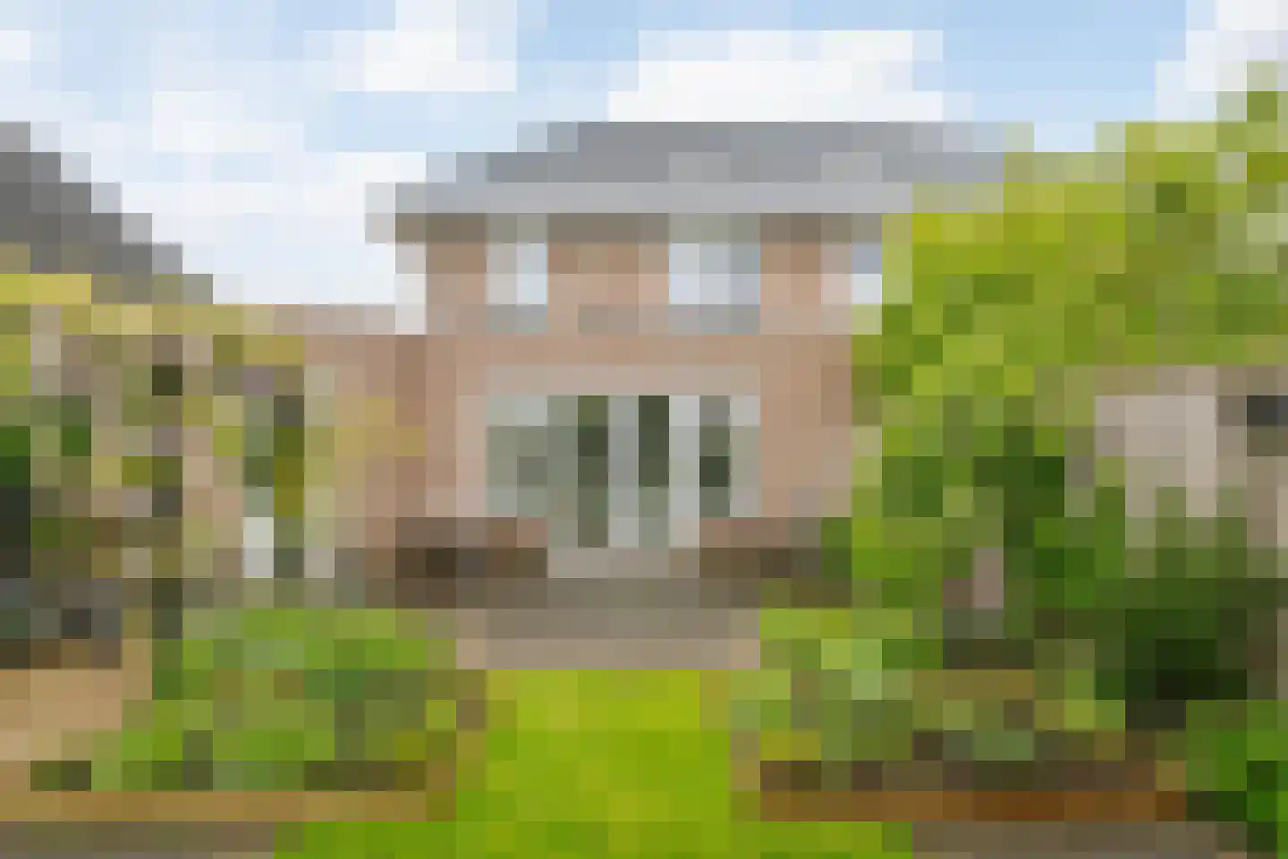 Koolmees 24 Olst thumbnail 16