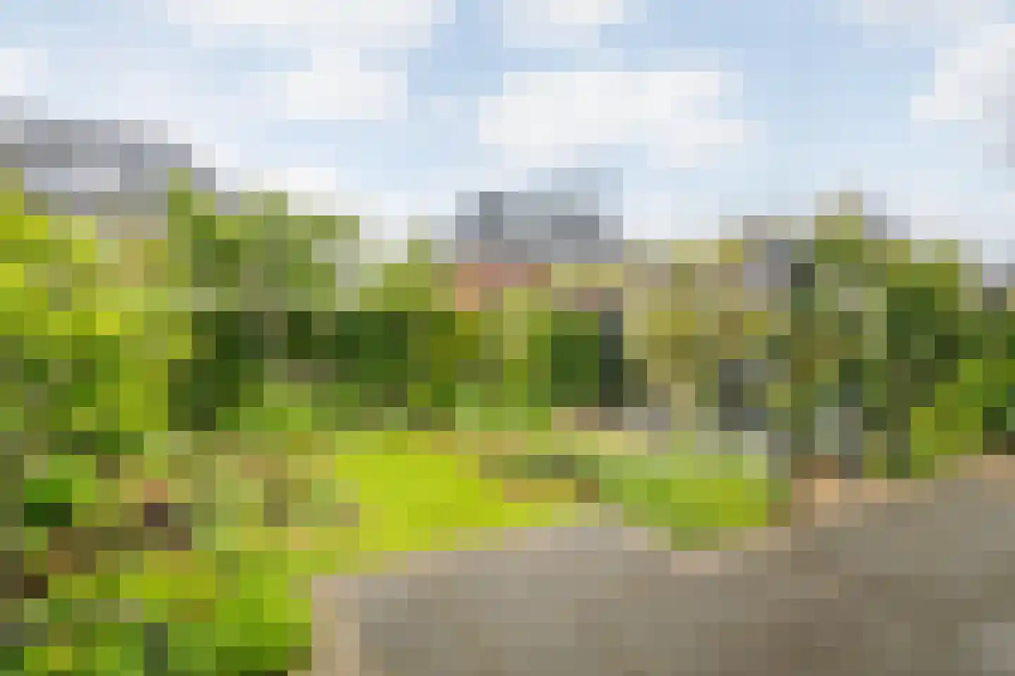 Koolmees 24 Olst thumbnail 17