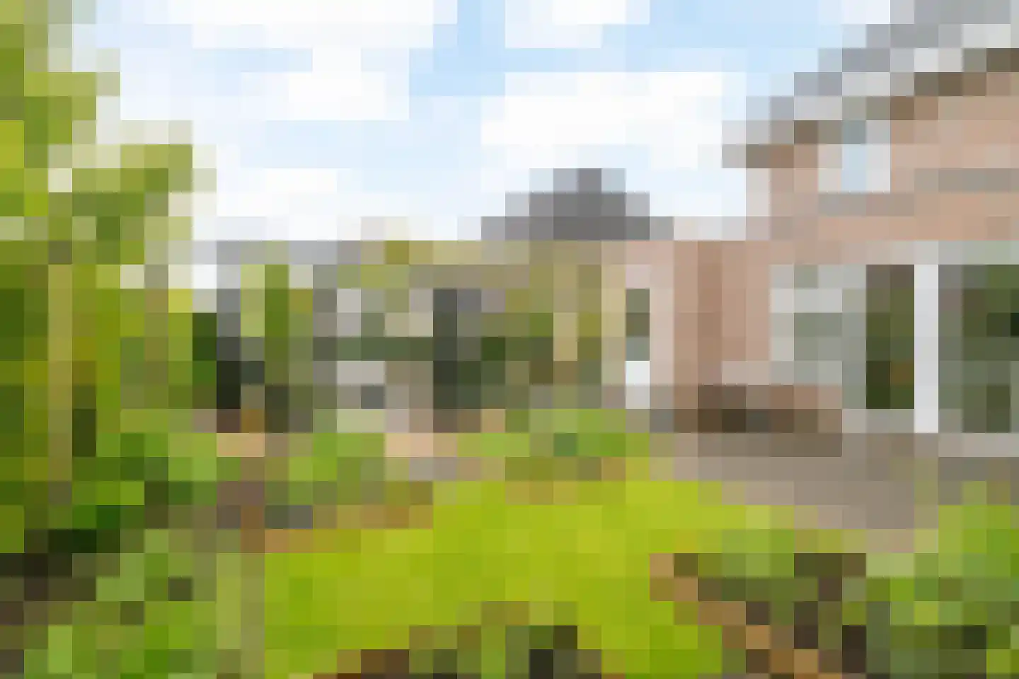 Koolmees 24 Olst thumbnail 18