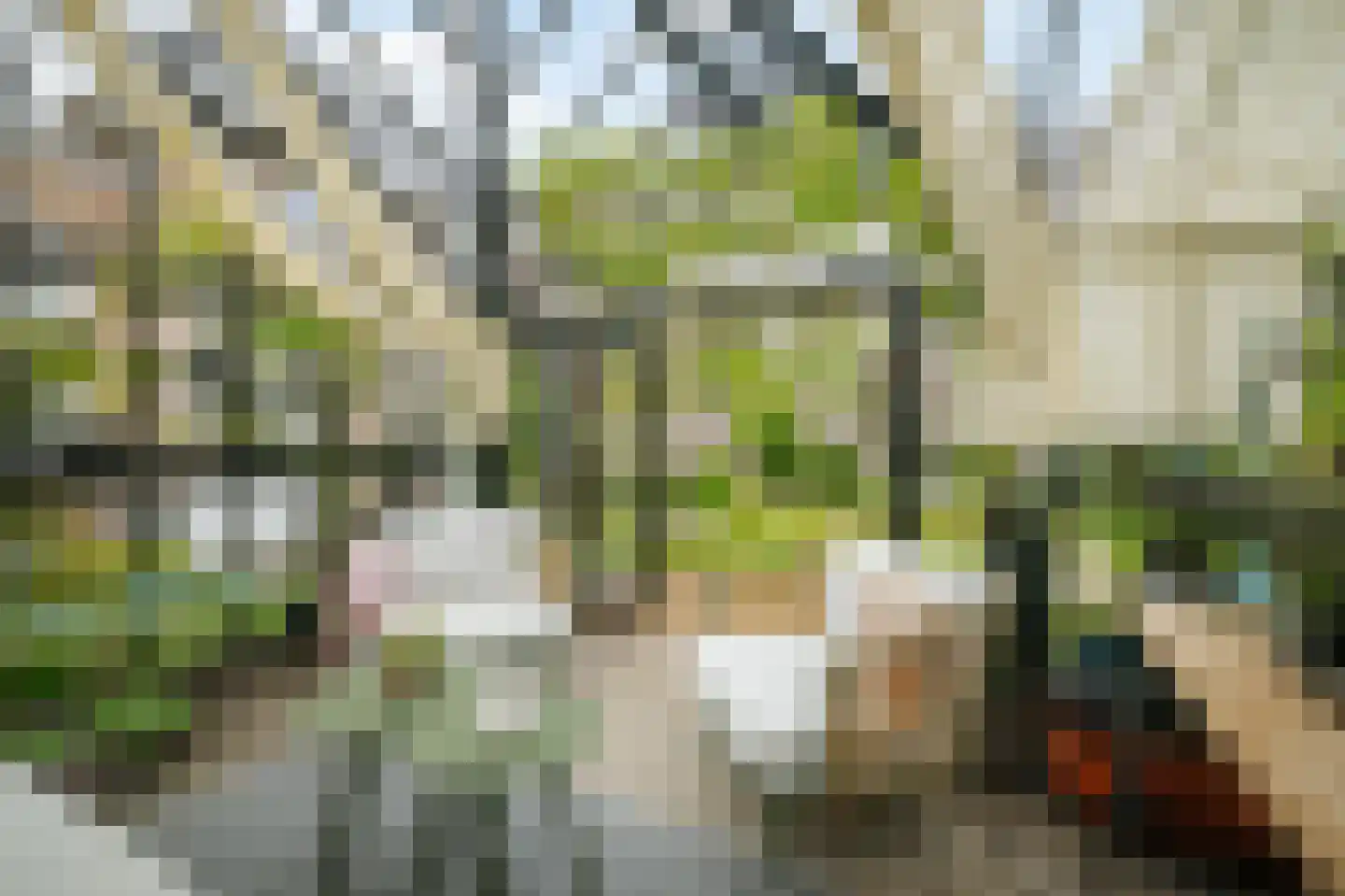 Koolmees 24 Olst thumbnail 19