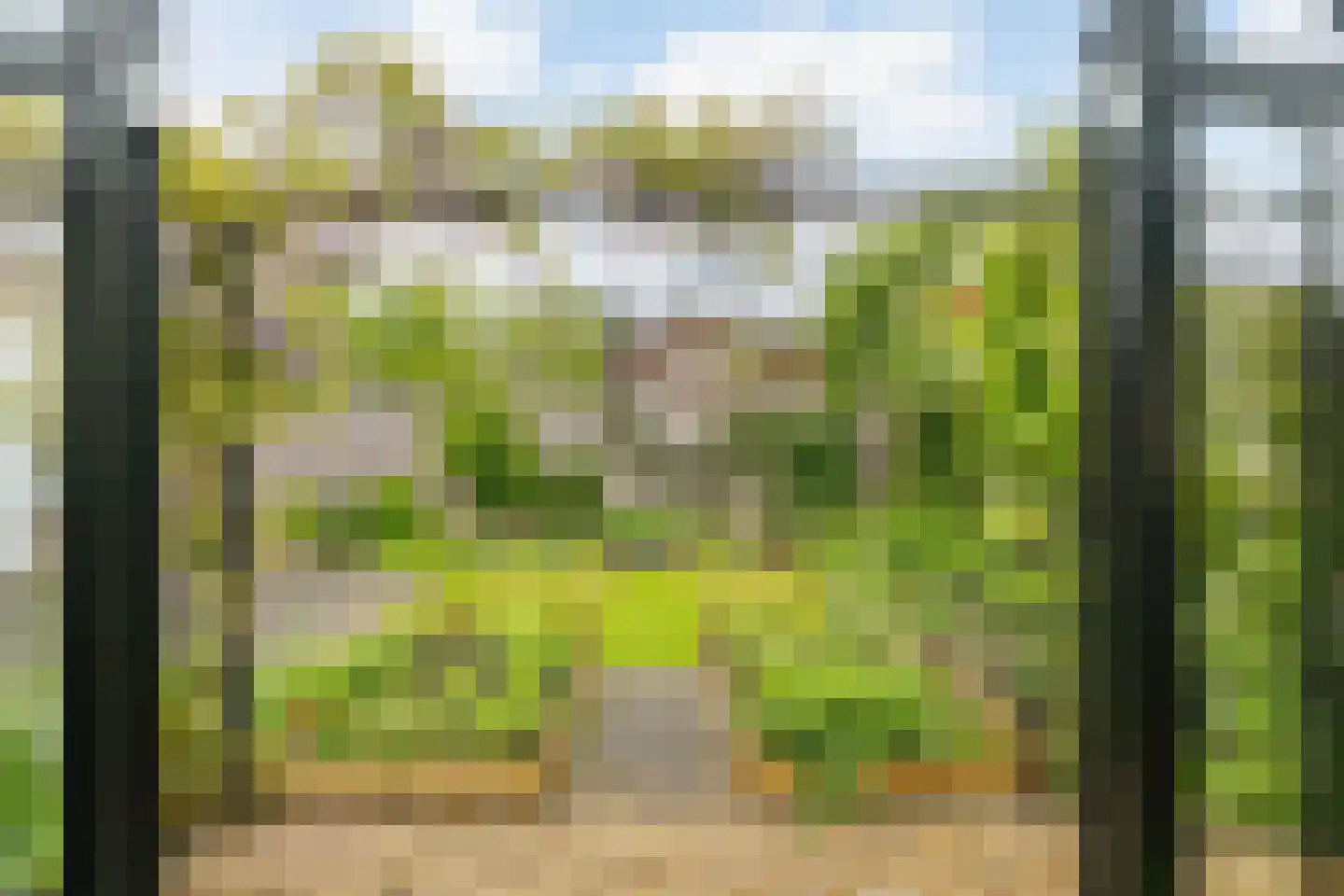 Koolmees 24 Olst thumbnail 21