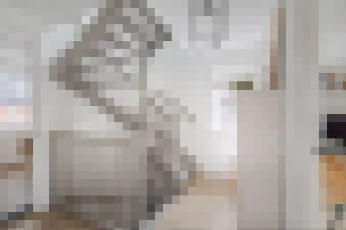 Koolmees 24 Olst thumbnail 22