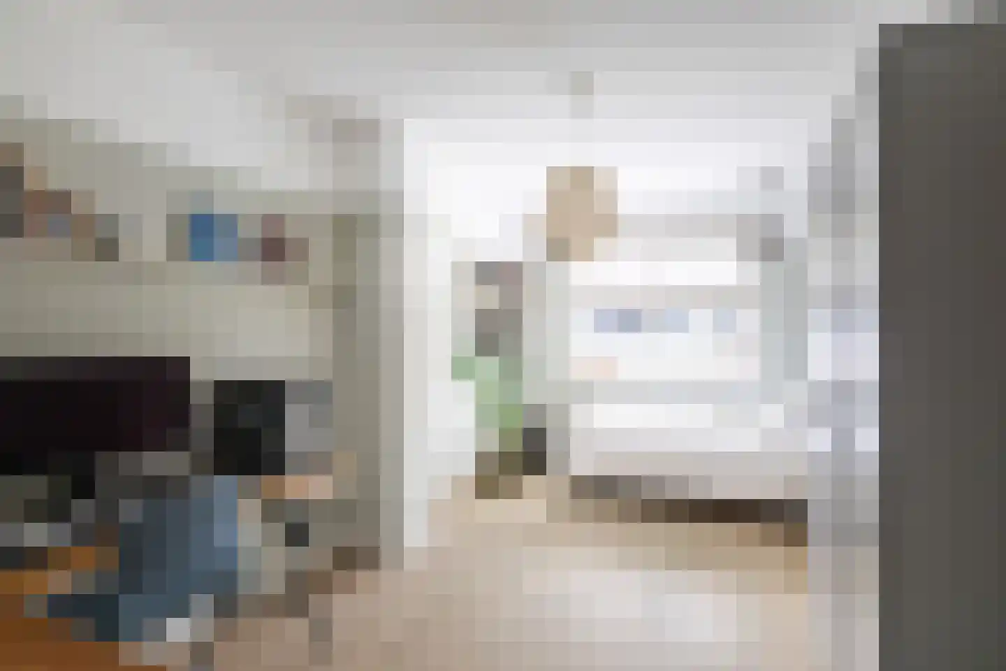 Koolmees 24 Olst thumbnail 24