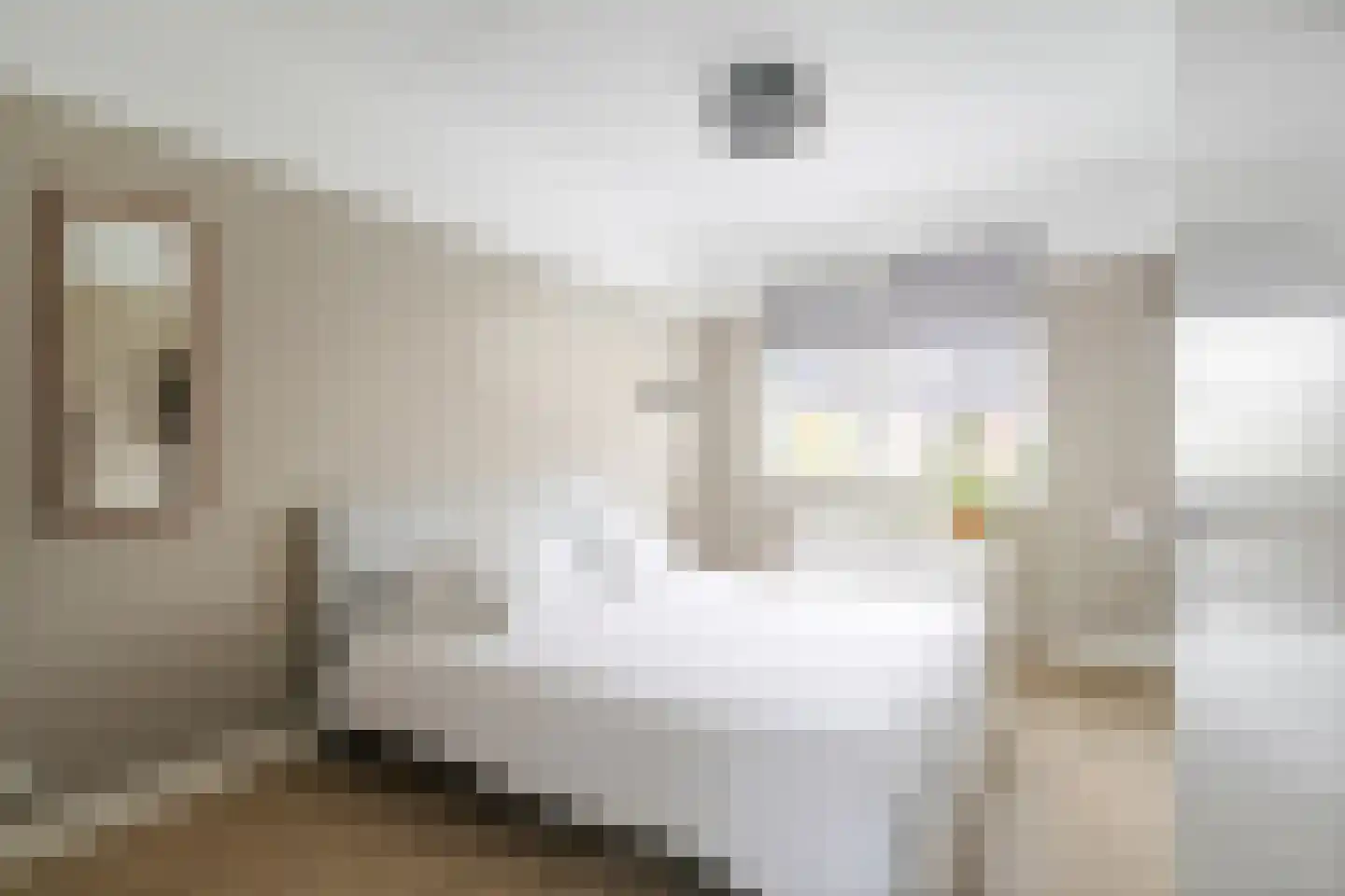Koolmees 24 Olst thumbnail 25