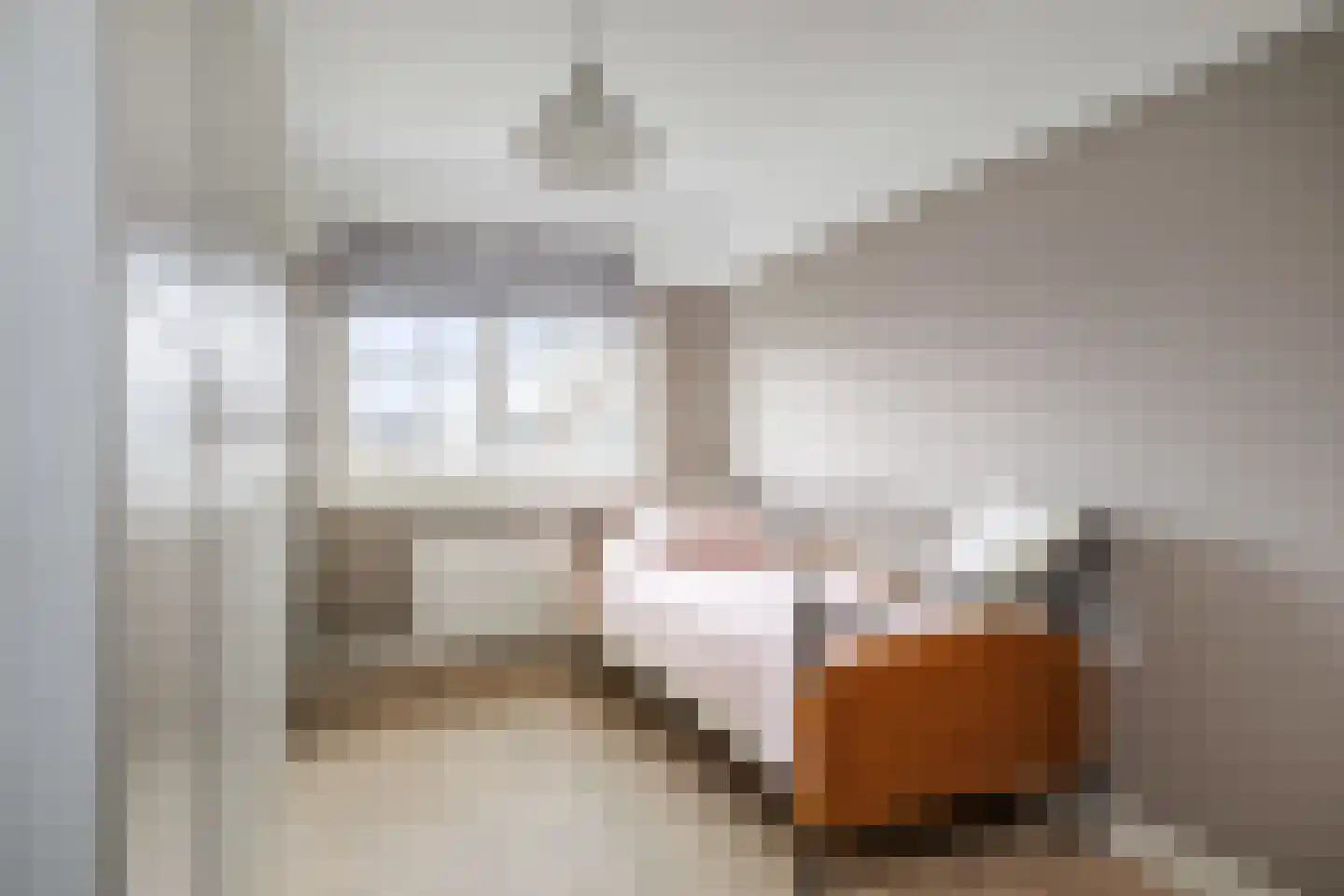 Koolmees 24 Olst thumbnail 26