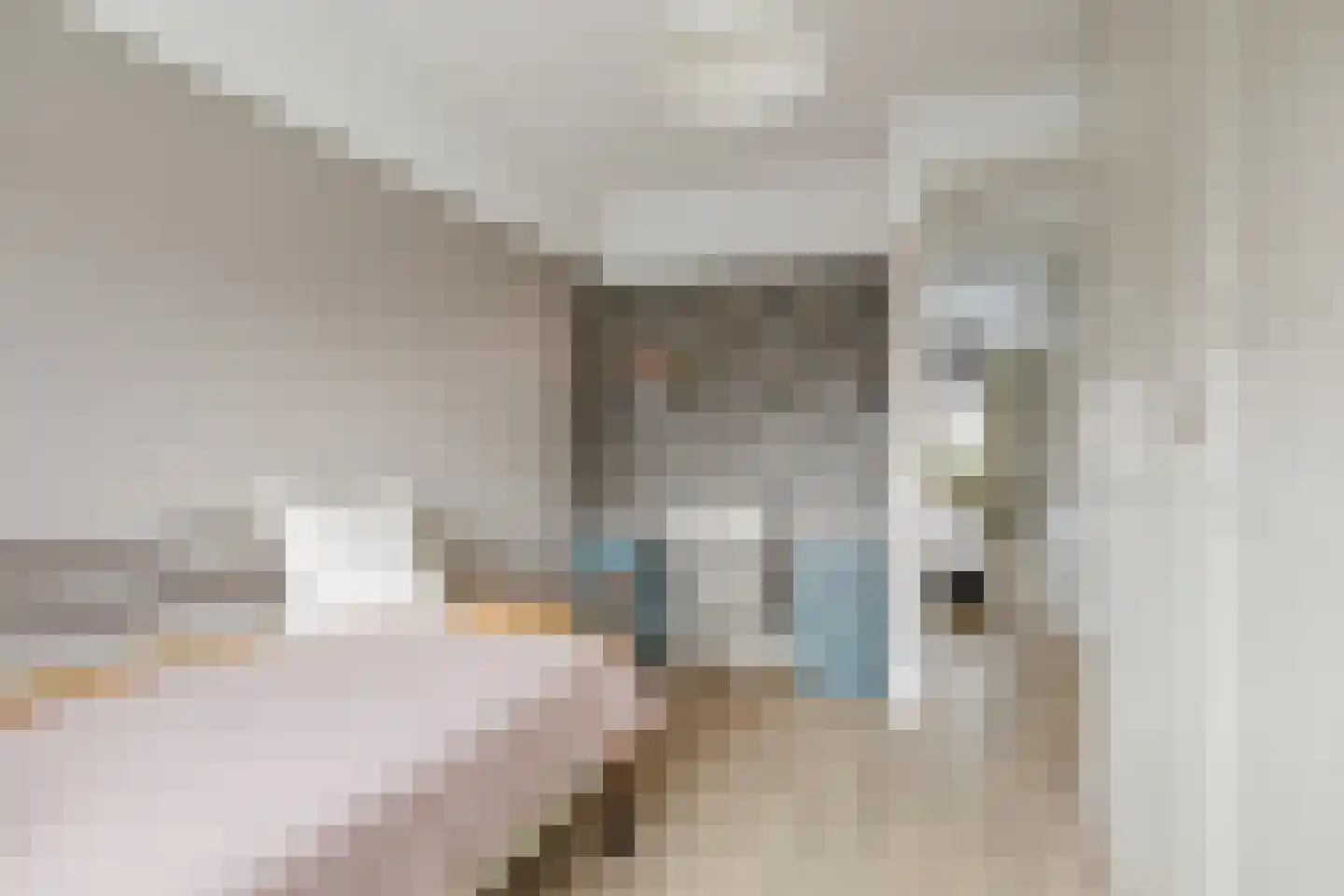 Koolmees 24 Olst thumbnail 27
